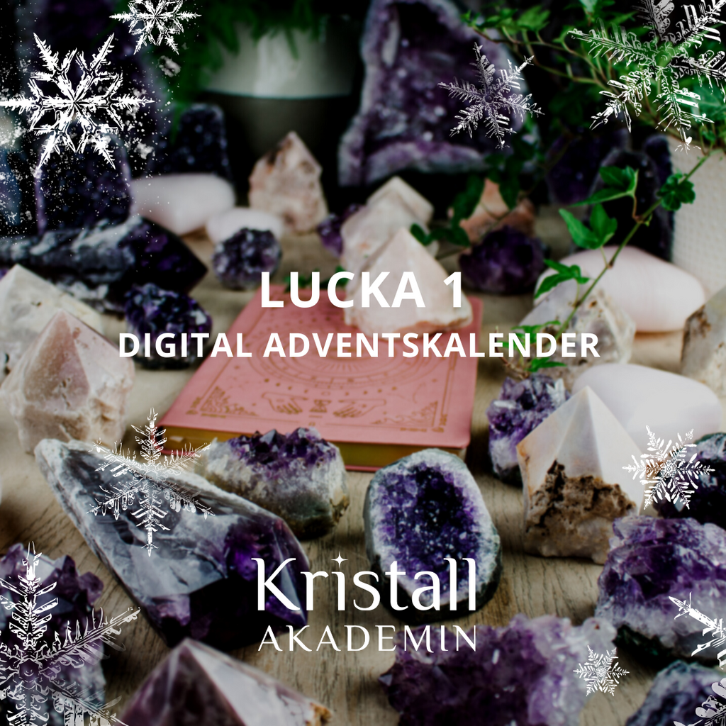 Lucka 1 - Digital adventskalender