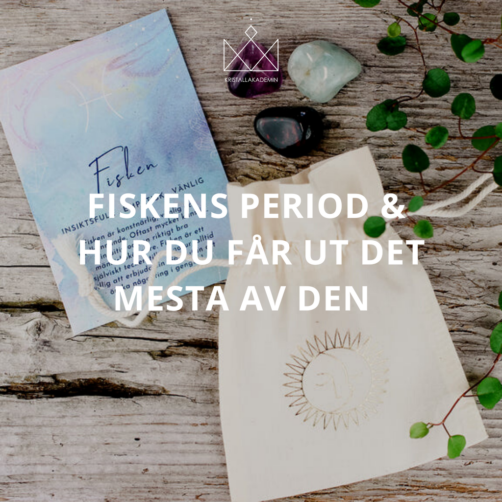 Fiskens period & hur du får ut det mesta av den