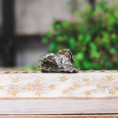 Meteorit
