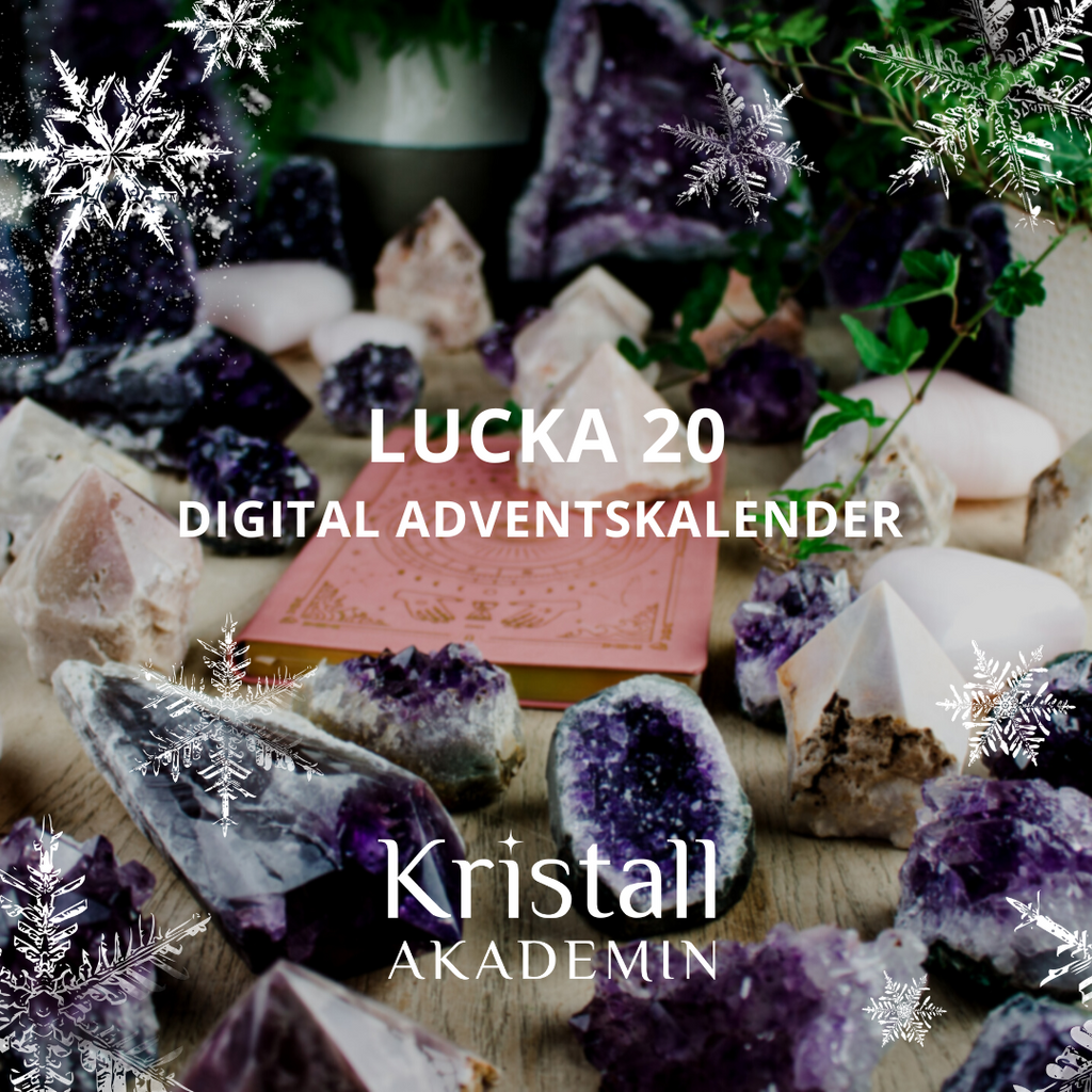 Lucka 20 - Digital adventskalender