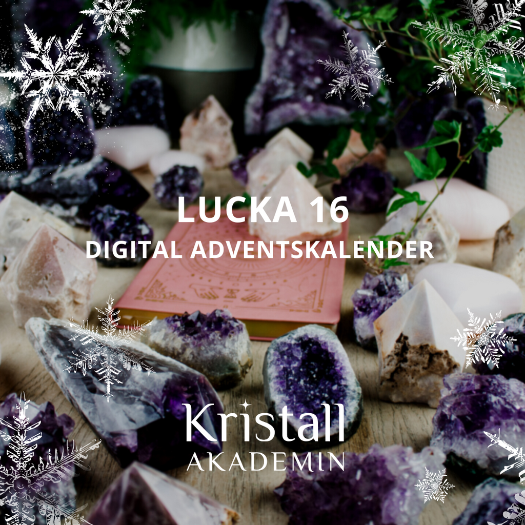 Lucka 16 - Digital adventskalender