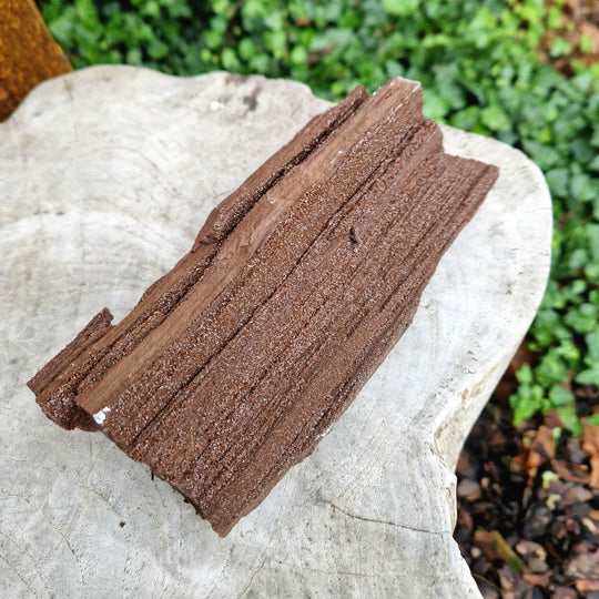 Förstenat trä med Kiselkristaller