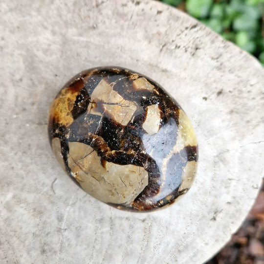 Septarian, touchstone