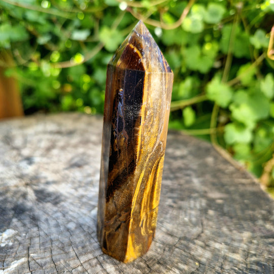 Tigeröga, polerad spets