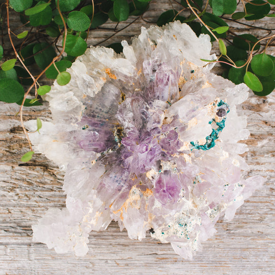 Ametist, naturliga blommor