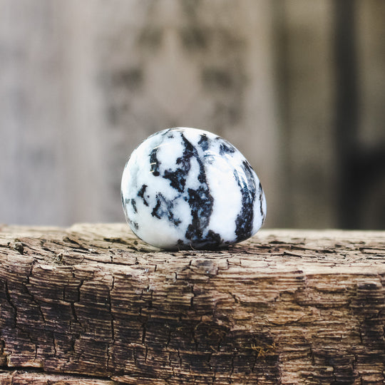 Zebrajaspis, trumlade stenar