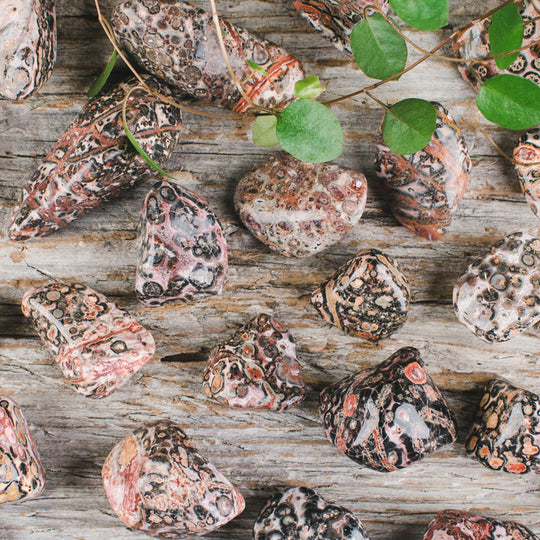 Leopardjaspis, trumlade stenar