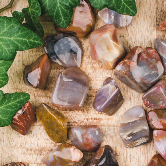 Förstenat Trä, trumlade stenar