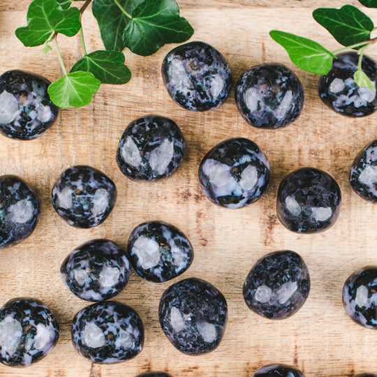 Indigo Gabbro (Mystic Merlinite), cuddlestone