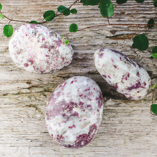 Rosa Turmalin i matrix, touchstone