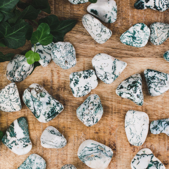 Trädagat, trumlade stenar